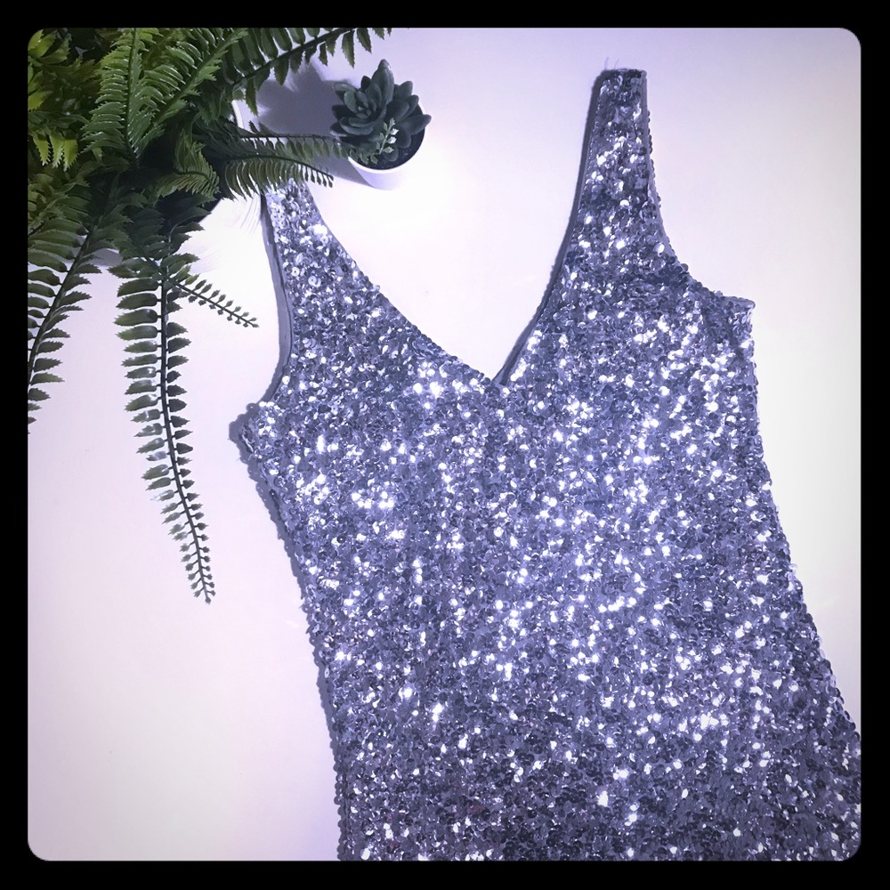 Silver Sequin Dress MD